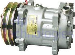 Delphi TSP0155153 - Compressore, Climatizzatore www.autoricambi360.it