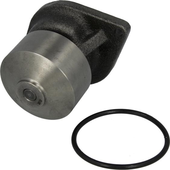 DOLZ L216 - Pompa acqua www.autoricambi360.it