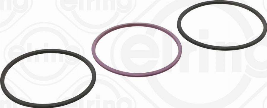 Elring 926.270 - Kit guarnizioni, Canna cilindro www.autoricambi360.it