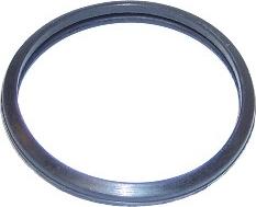 Elring 688.630 - Guarnizione, Termostato www.autoricambi360.it