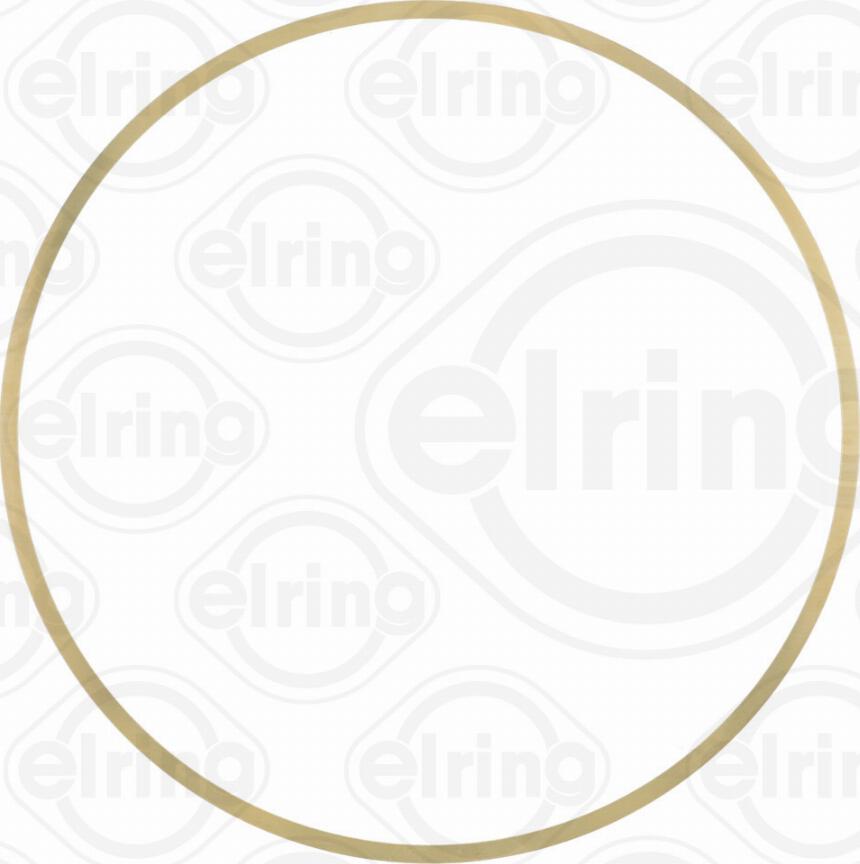 Elring 858.730 - Guarnizione, Canna cilindro www.autoricambi360.it