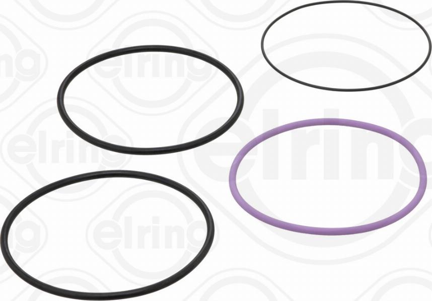 Elring 755.672 - Kit guarnizioni, Canna cilindro www.autoricambi360.it