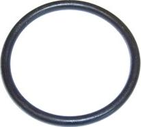 Elring 728.700 - Guarnizione, Termostato www.autoricambi360.it