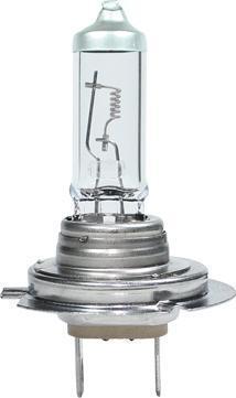 ERA E019LL-1C - Lampadina, Faro principale www.autoricambi360.it