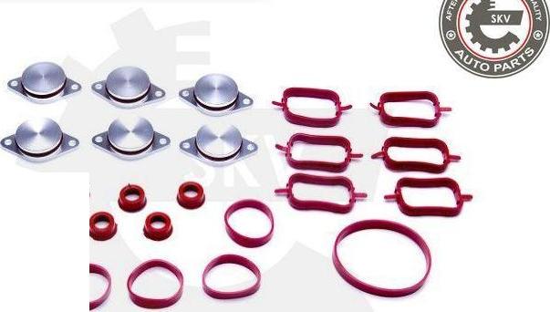 Esen SKV 96SKV045 - Kit guarnizioni, Collettore aspirazione www.autoricambi360.it