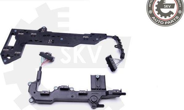 Esen SKV 96SKV065 - Kit riparazione, Flangia cambio automatico www.autoricambi360.it