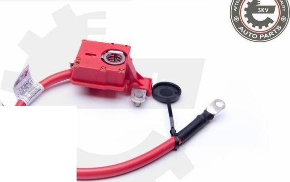 Esen SKV 96SKV302 - Adattatore batteria www.autoricambi360.it