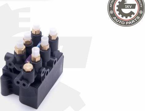 Esen SKV 93SKV811 - Valvola, Imp. aria compressa www.autoricambi360.it