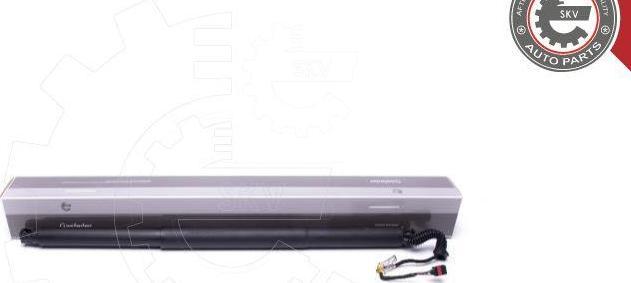 Esen SKV 52SKV944 - Motore elettrico, Cofano posteriore www.autoricambi360.it