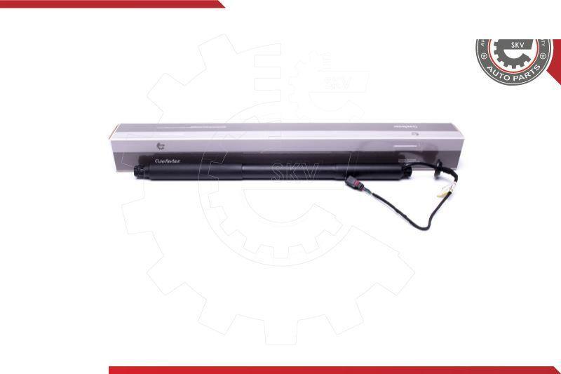 Esen SKV 52SKV940 - Motore elettrico, Cofano posteriore www.autoricambi360.it