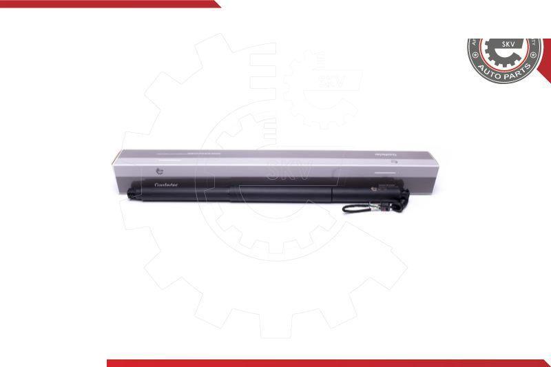 Esen SKV 52SKV943 - Motore elettrico, Cofano posteriore www.autoricambi360.it