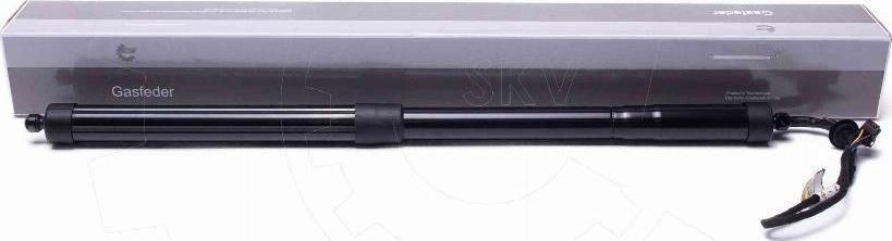 Esen SKV 52SKV954 - Motore elettrico, Cofano posteriore www.autoricambi360.it