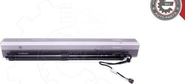 Esen SKV 52SKV909 - Motore elettrico, Cofano posteriore www.autoricambi360.it