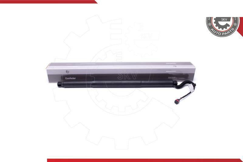 Esen SKV 52SKV904 - Motore elettrico, Cofano posteriore www.autoricambi360.it
