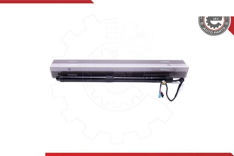 Esen SKV 52SKV906 - Motore elettrico, Cofano posteriore www.autoricambi360.it