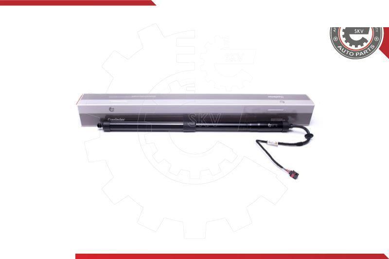 Esen SKV 52SKV908 - Motore elettrico, Cofano posteriore www.autoricambi360.it
