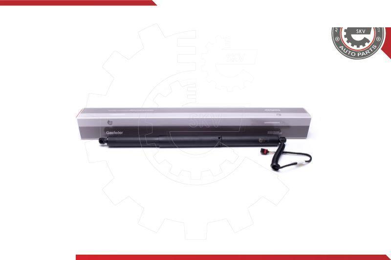 Esen SKV 52SKV903 - Motore elettrico, Cofano posteriore www.autoricambi360.it