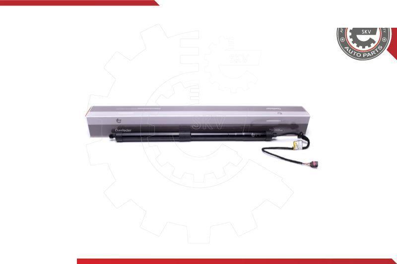 Esen SKV 52SKV902 - Motore elettrico, Cofano posteriore www.autoricambi360.it