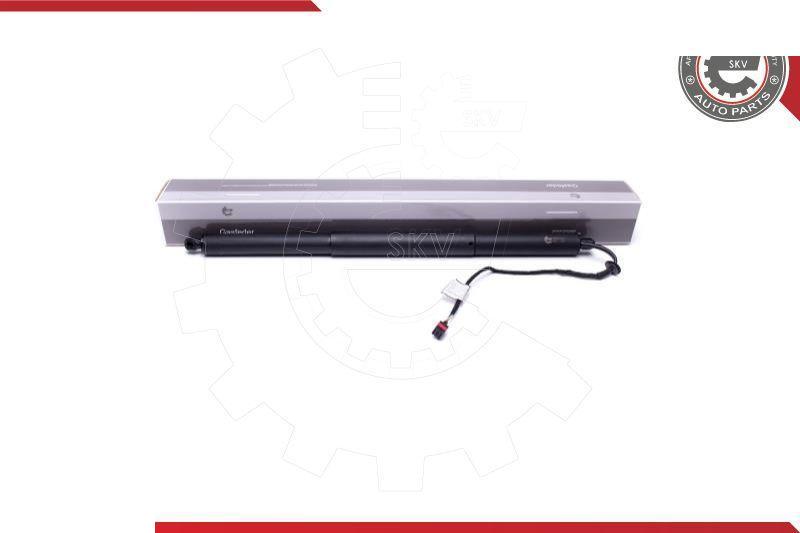 Esen SKV 52SKV907 - Motore elettrico, Cofano posteriore www.autoricambi360.it