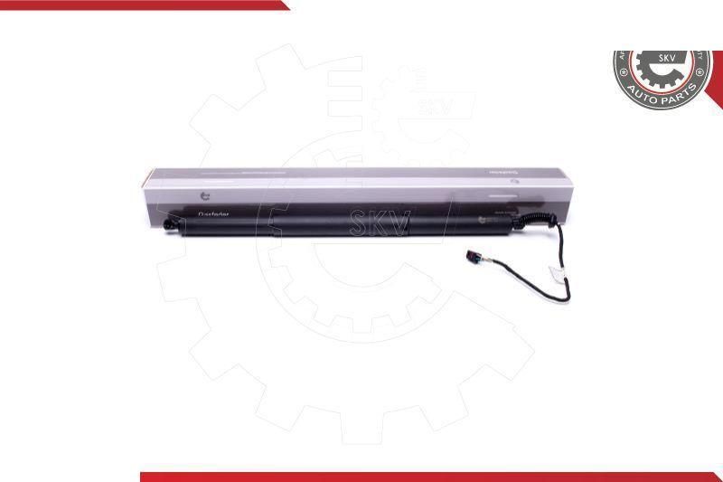 Esen SKV 52SKV914 - Motore elettrico, Cofano posteriore www.autoricambi360.it