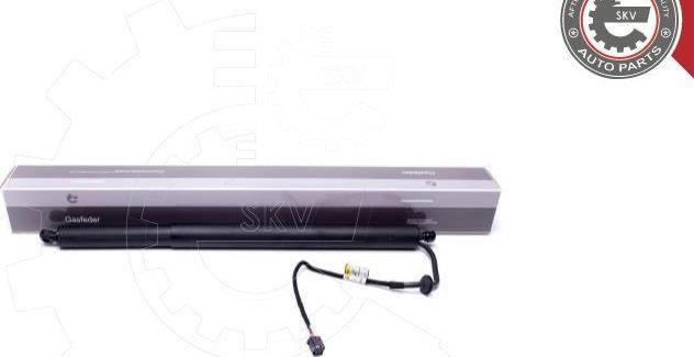 Esen SKV 52SKV917 - Motore elettrico, Cofano posteriore www.autoricambi360.it