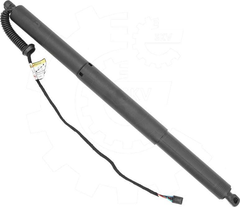 Esen SKV 52SKV988 - Motore elettrico, Cofano posteriore www.autoricambi360.it