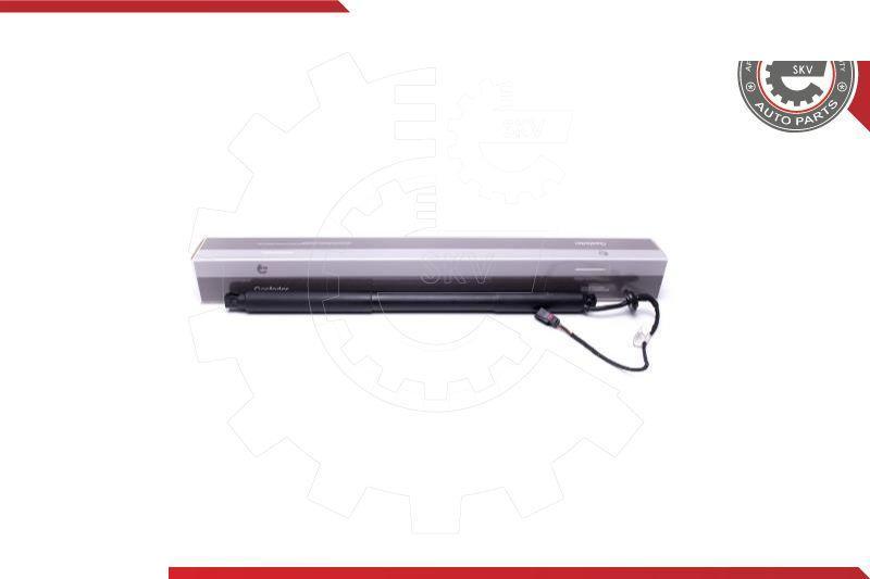 Esen SKV 52SKV939 - Motore elettrico, Cofano posteriore www.autoricambi360.it