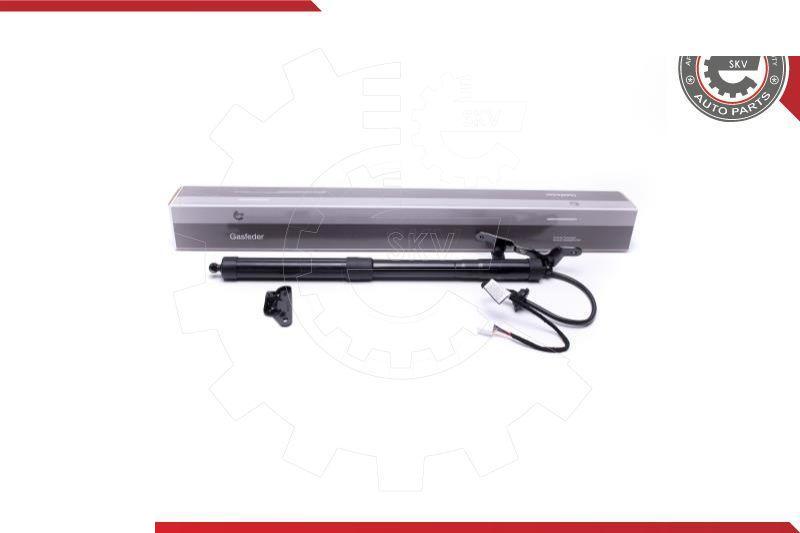 Esen SKV 52SKV938 - Motore elettrico, Cofano posteriore www.autoricambi360.it