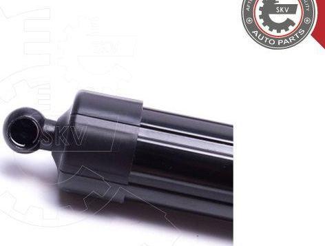 Esen SKV 52SKV937 - Motore elettrico, Cofano posteriore www.autoricambi360.it