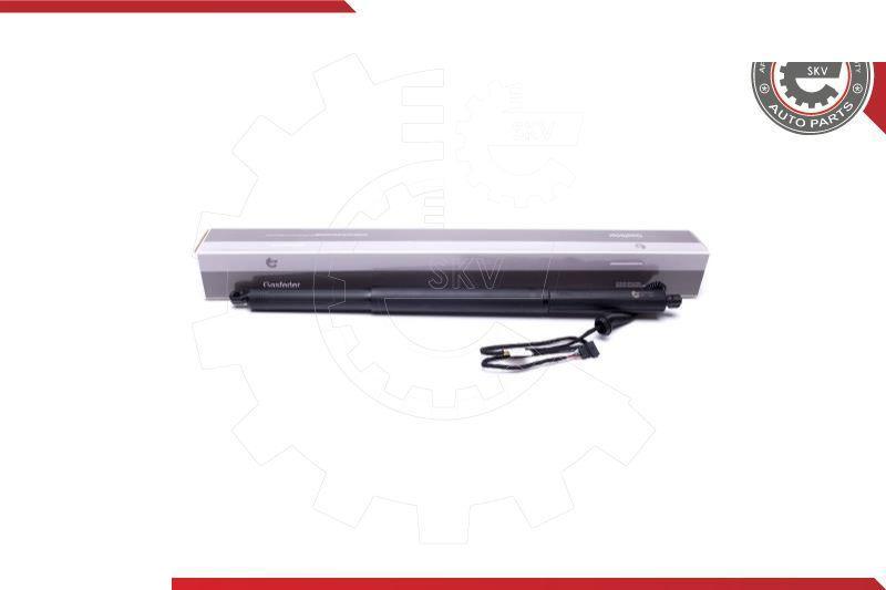 Esen SKV 52SKV929 - Motore elettrico, Cofano posteriore www.autoricambi360.it