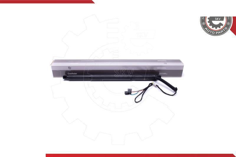 Esen SKV 52SKV925 - Motore elettrico, Cofano posteriore www.autoricambi360.it
