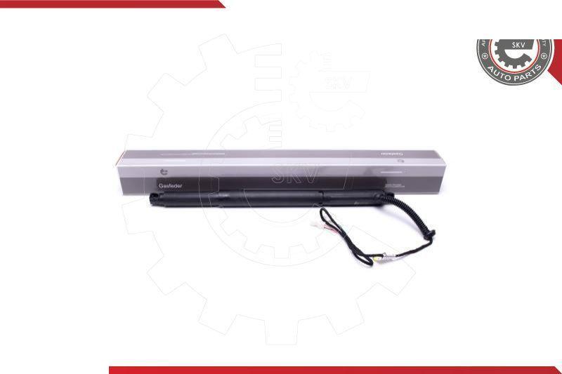 Esen SKV 52SKV926 - Motore elettrico, Cofano posteriore www.autoricambi360.it