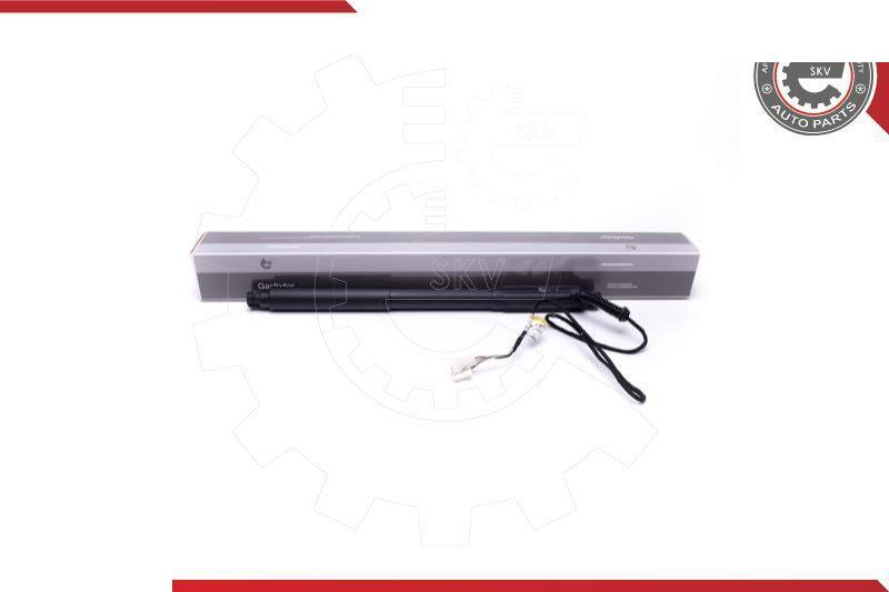 Esen SKV 52SKV928 - Motore elettrico, Cofano posteriore www.autoricambi360.it