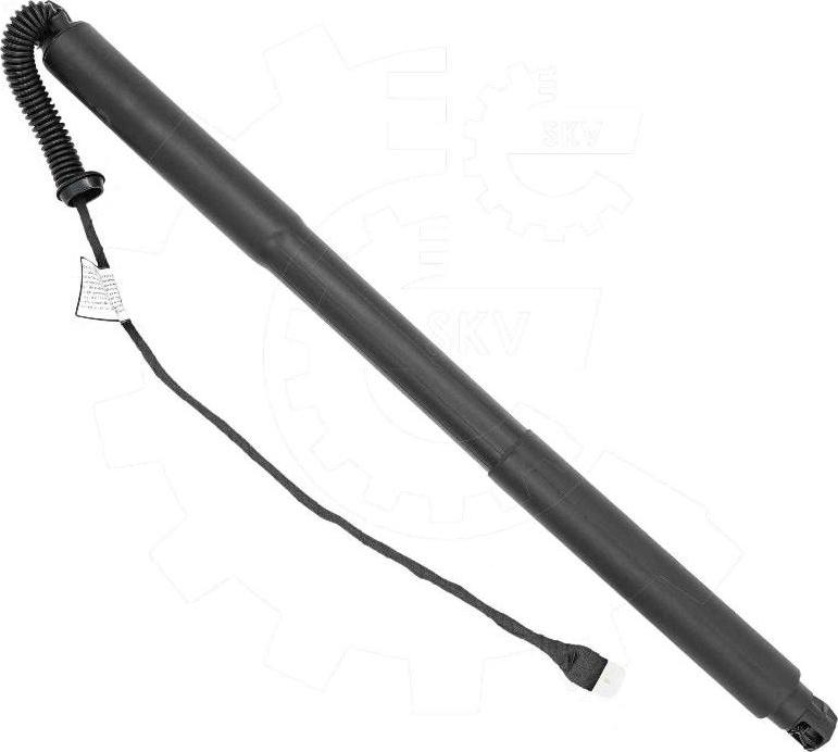 Esen SKV 52SKV977 - Motore elettrico, Cofano posteriore www.autoricambi360.it