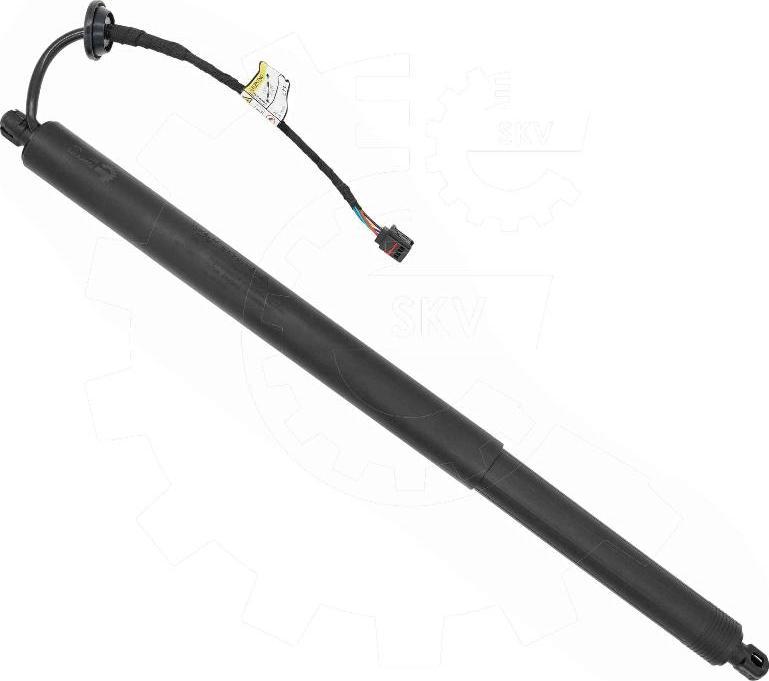 Esen SKV 52SKV173 - Motore elettrico, Cofano posteriore www.autoricambi360.it