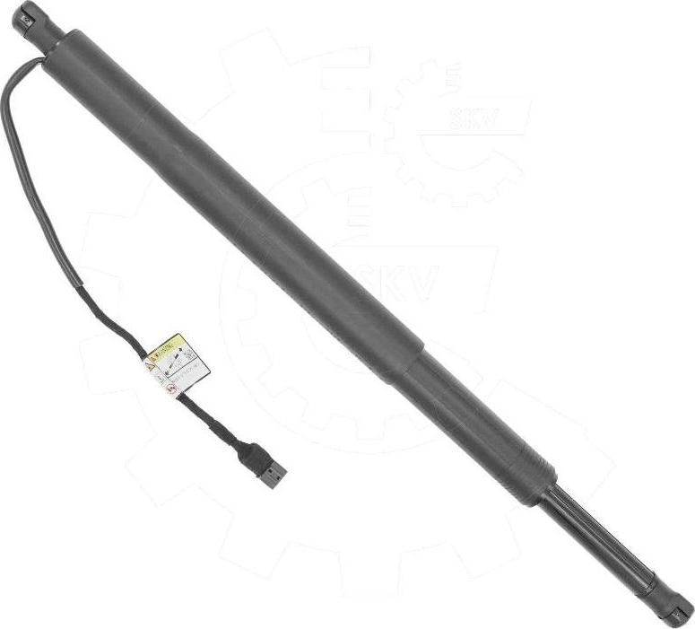 Esen SKV 52SKV839 - Motore elettrico, Cofano posteriore www.autoricambi360.it
