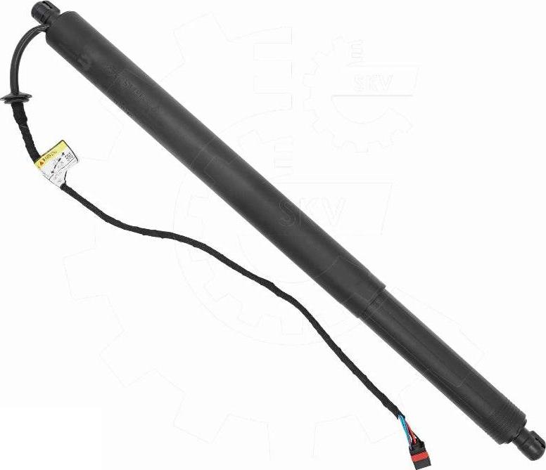 Esen SKV 52SKV290 - Motore elettrico, Cofano posteriore www.autoricambi360.it