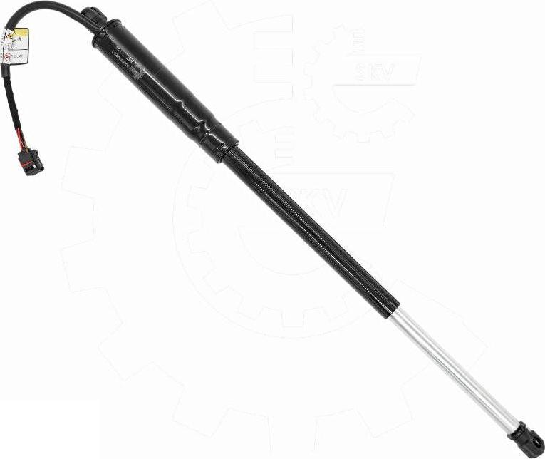 Esen SKV 52SKV291 - Motore elettrico, Cofano posteriore www.autoricambi360.it