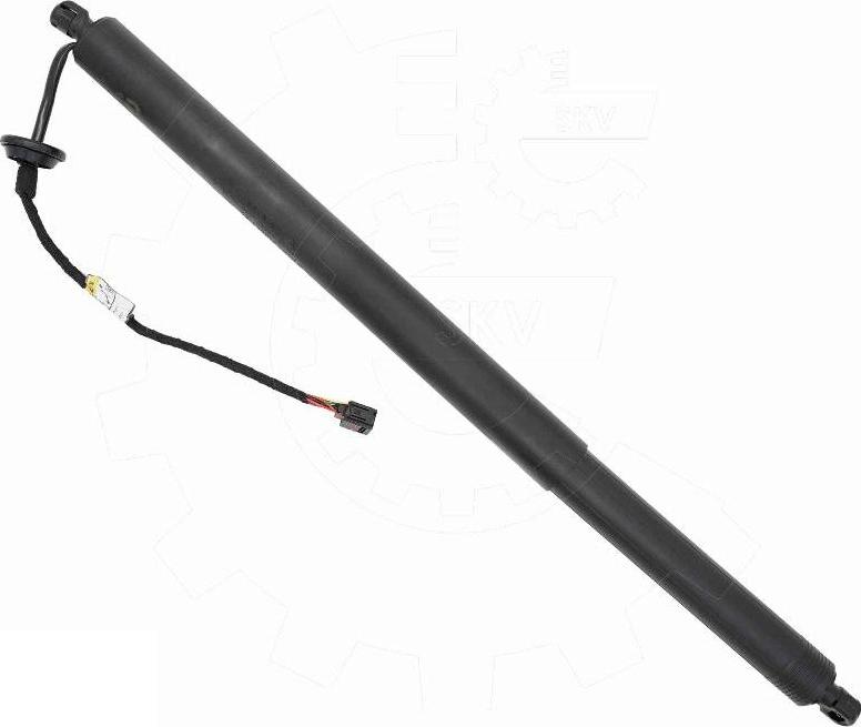 Esen SKV 52SKV292 - Motore elettrico, Cofano posteriore www.autoricambi360.it