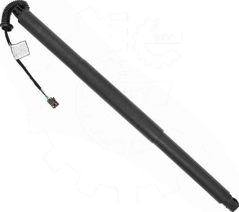 Esen SKV 52SKV255 - Motore elettrico, Cofano posteriore www.autoricambi360.it