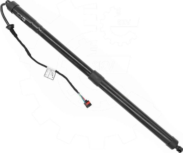 Esen SKV 52SKV266 - Motore elettrico, Cofano posteriore www.autoricambi360.it