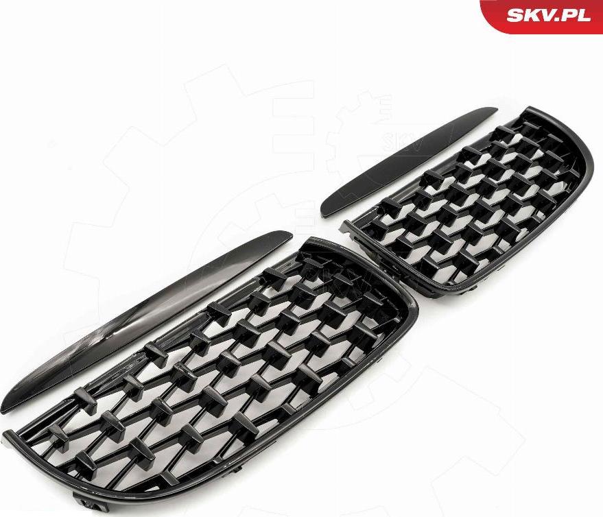 Esen SKV 66SKV093 - Griglia radiatore www.autoricambi360.it