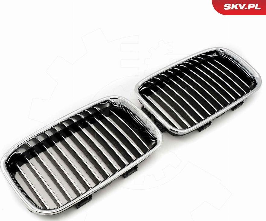 Esen SKV 66SKV044 - Griglia radiatore www.autoricambi360.it