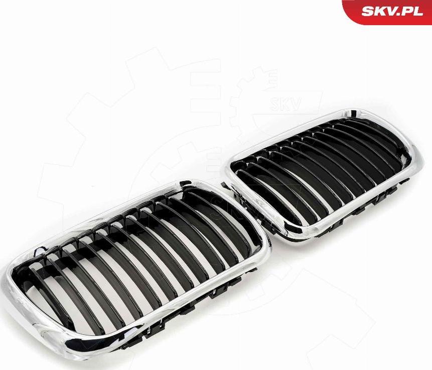 Esen SKV 66SKV053 - Griglia radiatore www.autoricambi360.it