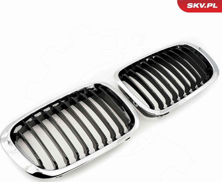 Esen SKV 66SKV064 - Griglia radiatore www.autoricambi360.it