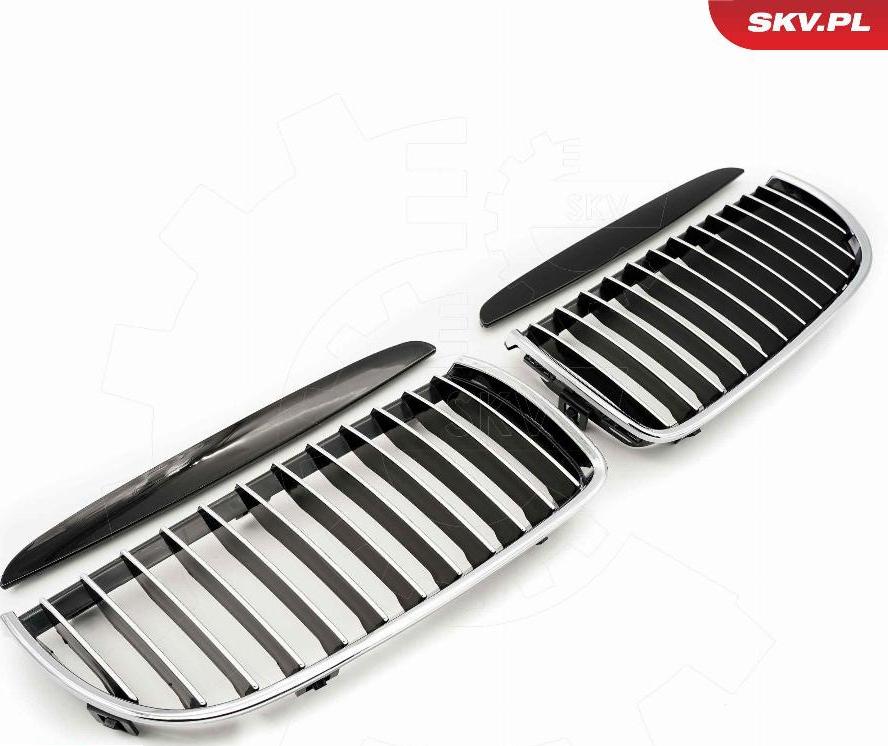 Esen SKV 66SKV088 - Griglia radiatore www.autoricambi360.it