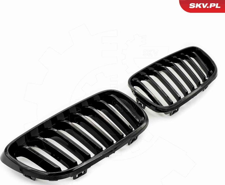 Esen SKV 66SKV029 - Griglia radiatore www.autoricambi360.it