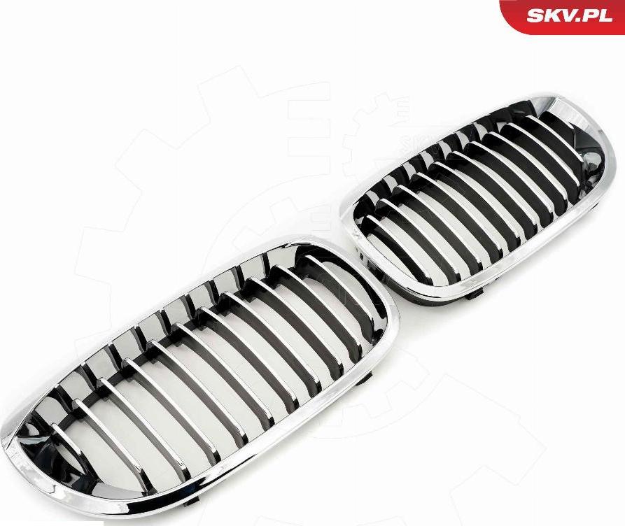 Esen SKV 66SKV070 - Griglia radiatore www.autoricambi360.it