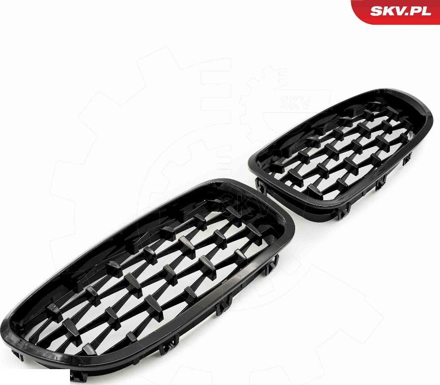 Esen SKV 66SKV190 - Griglia radiatore www.autoricambi360.it