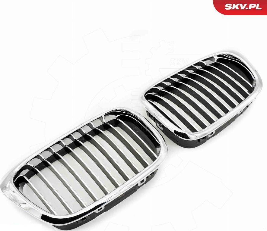 Esen SKV 66SKV159 - Griglia radiatore www.autoricambi360.it